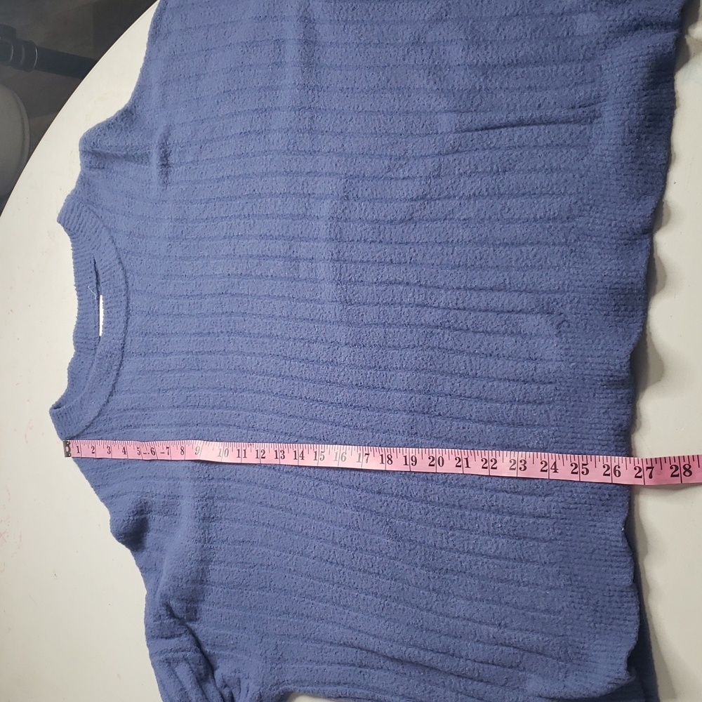 Aerie Womens Butter Cream Crew Neck Slouchy Thick Sweater Size L Oversized Blue - Picture 12 of 16